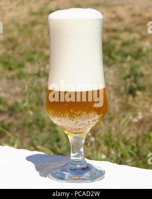 Cold beer with foam in the beer glass in a sunny and hot summer day Stock Photo