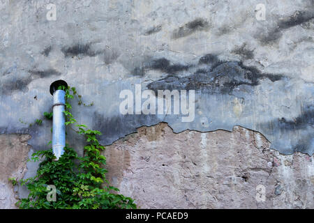 The tube with green plant on the wall with painted plaster similar to the blue sky with cracks Stock Photo