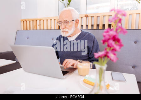 Focused senior freelancer working on laptop Stock Photo