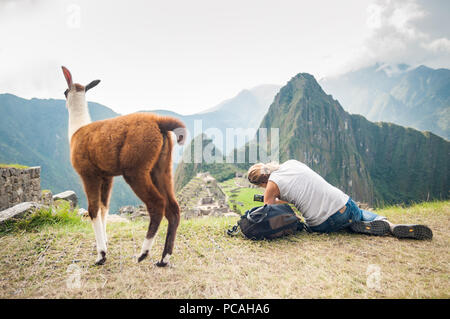 Woman hiker on the cliff taking a photograph,  unaware of a young llama behind her. Overlooking ruins of the ancient city of Machu Picchu, Peru. Stock Photo