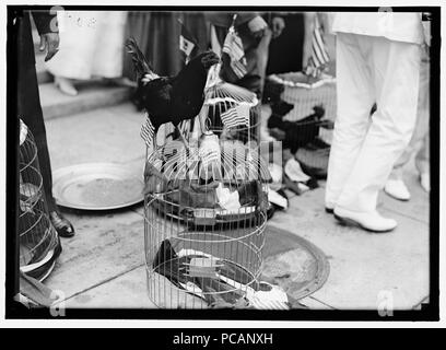 ALABAMANS. ROOSTERS BEING PRESENTED TO ALABAMA CITIZENS AT WHITE HOUSE. ONE OF THE ROOSTERS Stock Photo