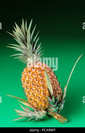 Pineapple whole organic green background with new shoots on stem Stock Photo