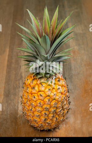 Single one full whole organic pineapple fruit on wooden background standing upright Stock Photo