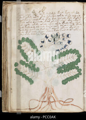 The Voynich Manuscript is an enigmatic 15th-century manuscript filled ...