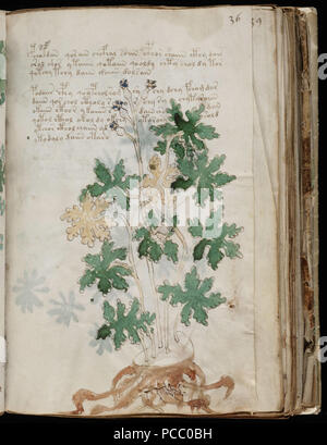 The Voynich Manuscript is an undeciphered 15th-century text, featuring ...