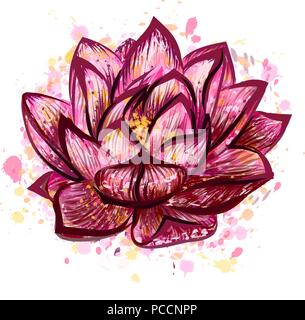 Lotus flower isolated on white background Stock Vector Image & Art - Alamy