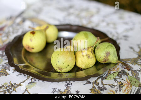Pears on metal plate on the table Stock Photo