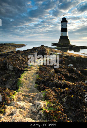Lighthouse at Penmon Point at sunrise, Anglesey, North Wales Stock Photo