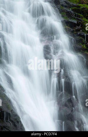 Bridge Creek Falls, Tillamook State Forest, Oregon Stock Photo