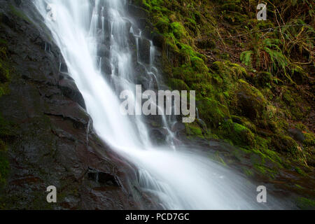 Bridge Creek Falls, Tillamook State Forest, Oregon Stock Photo