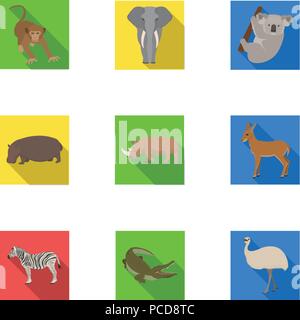 Ostrich emu, crocodile, giraffe, tiger, penguin and other wild animals ...