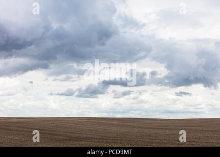 Storm clouds over barren farmland, Saskatchewan, Canada. Stock Photo