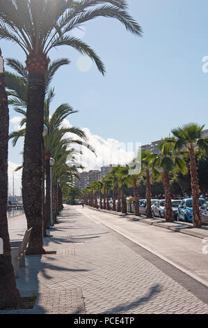 PALMA DE MALLORCA, SPAIN - NOVEMBER 9, 2011: Palm promenade and biking track along the Paseo Maritimo on November 9, 2011 in Palma de Mallorca, Balear Stock Photo