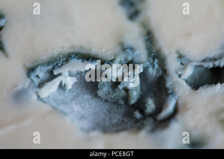 Close-up view of French froume d'Ambert blue cheese Stock Photo