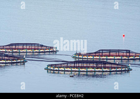 Aquaculture installation / sea cages / sea pens / fish cages at salmon farm in Laxo Voe, Vidlin on the Mainland, Shetland Islands, Scotland, UK Stock Photo
