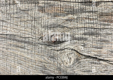 elm wood plank surface, real texture for your design Stock Photo