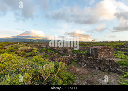 The silhouette of the Mount Pico, overlooking the hedge rows dividing the vineyards of Pico Island at sunset, Azores, Portugal Stock Photo