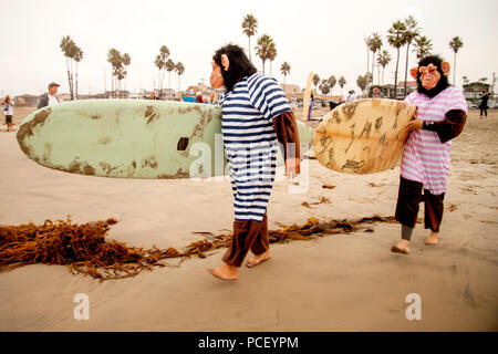 Dressed as gorillas at a Halloween costumed surf event in Huntington beach, CA, two surfers carry their boards to the ocean.  (Photo by Spencer Grant) Stock Photo