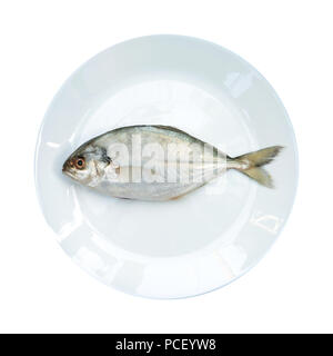 Yellow Tail Scad fish, Decapterus fish, on White plate Stock Photo - Alamy