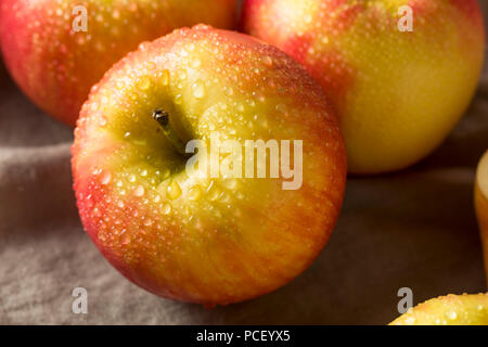 Apples Honeycrisp Organic