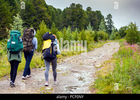 Young woman hiking in the forest in the summer. Hiking concept in the  mountain in summer Stock Photo - Alamy