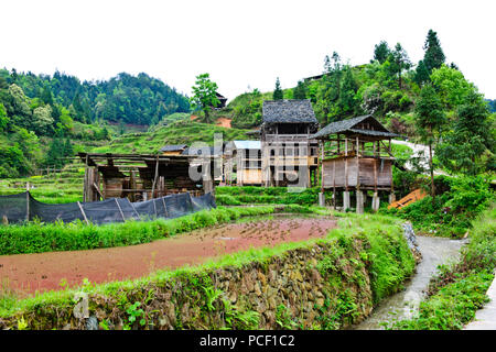 Typical Dong Village,Wooden Houses,Huanggang Dong Village,Dong Costumed Girls,Singing to Students,,Dwellings,Guizjou,PRC,People's Republic of China Stock Photo