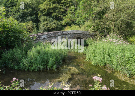 The river Lathkill flowing through the Derbyshire dale in the English Peak District national park, England, UK Stock Photo