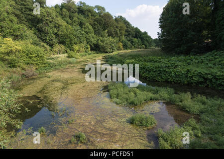 The river Lathkill flowing through the Derbyshire dale in the English Peak District national park, England, UK Stock Photo