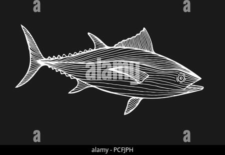 Ink sketch of tuna. Stock Vector