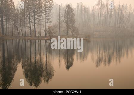 Whiskeytown Lake, California, USA. 2nd Aug, 2018. Thursday, August 2, 2018.Carr Fire smoke settles into burned forest land in Thursday morning along Whiskeytown Lake, northwest of Redding, California. Credit: Tracy Barbutes/ZUMA Wire/Alamy Live News Stock Photo