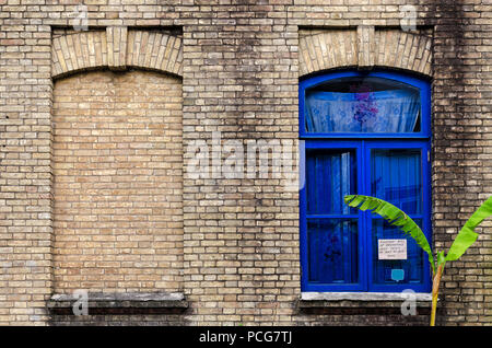 Old brick wall with two windows, one false, other with glass and blue color frame, green plant near building. Batumi, Georgia. Stock Photo