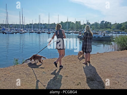 NYNASHAMN, SWEDEN - JULY 18, 2018: Girl and woman walk dogs along the pier on July 18, 2018 in Nynashamn, Sweden. Stock Photo
