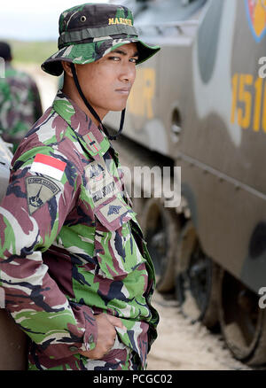 Indonesian Marine Corps 2nd Lt. Heru Susanto assigned to 1st Battalion, prepares to board a Marine Amphibious Assault Vehicle assigned to Combat Assault Company, 3rd Marine Regiment prior to launch from the beach to amphibious dock landing ship USS Rushmore (LSD 47) during Rim of the Pacific (RIMPAC) Exercise 2014. Twenty-two nations, more than 40 ships and submarines, about 200 aircraft and 25,000 personnel are participating in RIMPAC from June 26 to Aug. 1 in and around the Hawaiian Islands and Southern California. The world's largest international maritime exercise, RIMPAC provides a unique Stock Photo