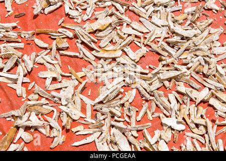 Drying Cassava (Manihot esculenta) in Ganta, Liberia Stock Photo