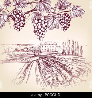 grape vine, Vineyard, grape hand drawn vector illustration realistic sketch Stock Vector