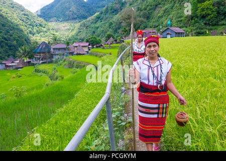 Women from Ifugao Minority near a rice terraces in Banaue the Philippines Stock Photo