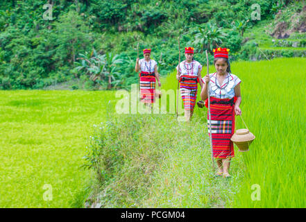 Women from Ifugao Minority near a rice terraces in Banaue the Philippines Stock Photo