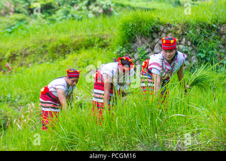 Women from Ifugao Minority near a rice terraces in Banaue the Philippines Stock Photo