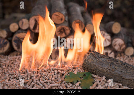Pile of oak pellets and wood in flames Stock Photo