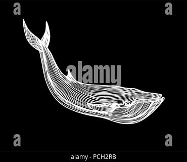 Graphical hand painted whale Stock Vector