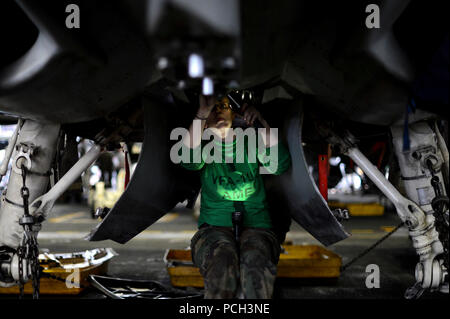 U.S. 5TH FLEET AREA OF RESPONSIBILITY (Feb. 18, 2013) Aviation Structural Mechanic (Equipment) 3rd Class Kaylee Struck, fom Newan, Ga., conducts maintenance on an F/A-18C Hornet from the Golden Dragons of the Strike Fighter Squadron (VFA) 192 in the hangar bay aboard the aircraft carrier USS John C. Stennis (CVN 74). John C. Stennis is deployed to the U.S. 5th Fleet area of responsibility conducting maritime security operations, theater security cooperation efforts and support missions for Operation Enduring Freedom. Stock Photo