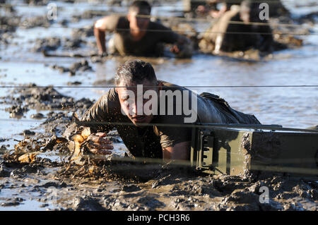 PORT HUENEME, Calif. (Oct. 26, 2012) Utilitiesman Constructionman Francisco Tirson, assigned to Bravo Company with Naval Mobile Construction Battalion (NMCB) 5, participates in a low crawl obstacle course event during Small Unit Leadership Capstone (SULC) at Naval Base Ventura County (NBVC). Stock Photo