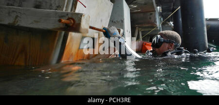 PEARL HARBOR (March 18, 2013) Builder 2nd Class Khiaro Promise from Construction Dive Detachment Alpha, part of Underwater Construction Team (UCT) 2 out of Port Hueneme, Calif., removes a wood form during a structural pile restoration at the Hotel piers on Joint Base Pearl Harbor-Hickam. The Underwater Construction Team provides a capability for construction, inspection, repair, and maintenance of ocean facilities in support of Naval and Marine Corps operations. Stock Photo