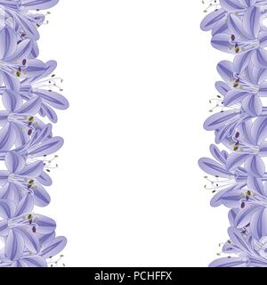 Blue Purple Agapanthus Border. Vector Illustration. Stock Vector