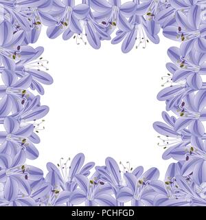 Blue Purple Agapanthus Border. Vector Illustration. Stock Vector
