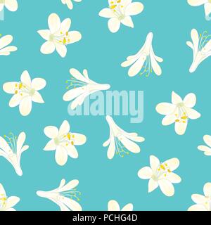 Snow White Agapanthus on Blue Background. Vector Illustration. Stock Vector