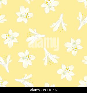 Snow White Agapanthus on Yellow Background. Vector Illustration. Stock Vector