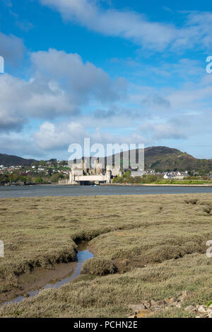 View of Conwy Castle from across the estuary of the river Conwy, North Wales, UK. A sunny spring day. Stock Photo