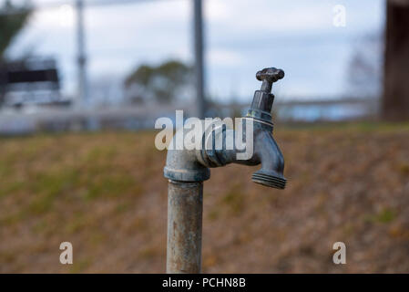 An old brass outdoor garden tap or faucet in an Australian garden Stock Photo