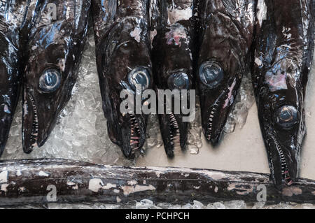 Black Scabbard fish in the Mercado dos Lavradores, Funchal, Madeira Stock Photo